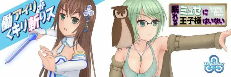 图片[3]-安卓+电脑【RPG日系/动态】暴躁的砍王艾莉公主 全CG回想-次元总站