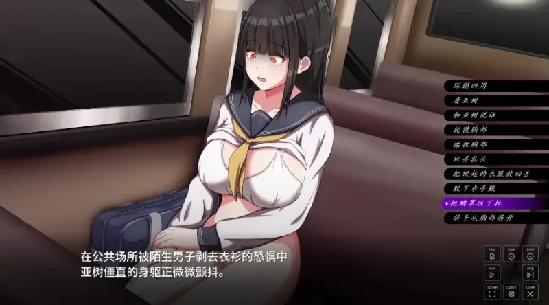 安卓+电脑【精品SLG/动态/全CV】背德的冲动 Ty模拟器玩-次元总站