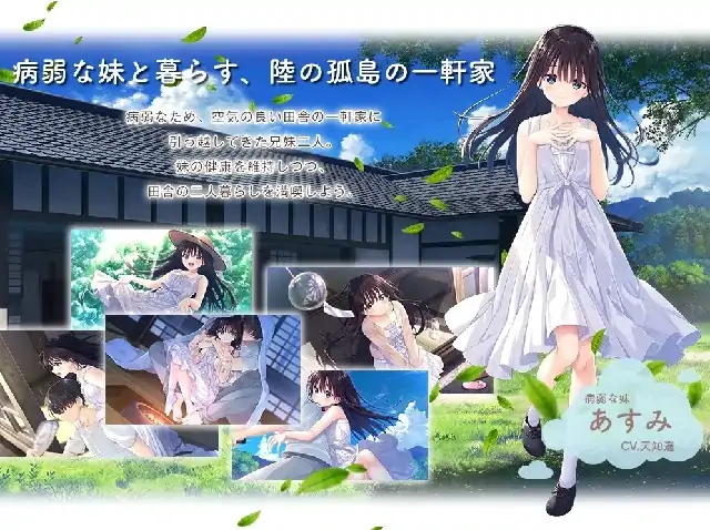 图片[1]-PC电脑[爆款RPG/中文/全CV]痴情哥哥与病弱妹妹的乡间生活-次元总站