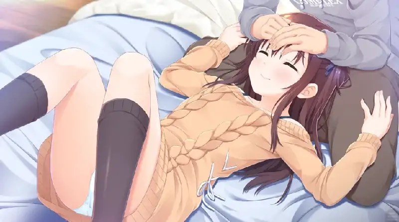 图片[3]-安卓+电脑 [ADV/妹妹/CV]哥哥，早上起床之前都要抱紧我哦！-次元总站