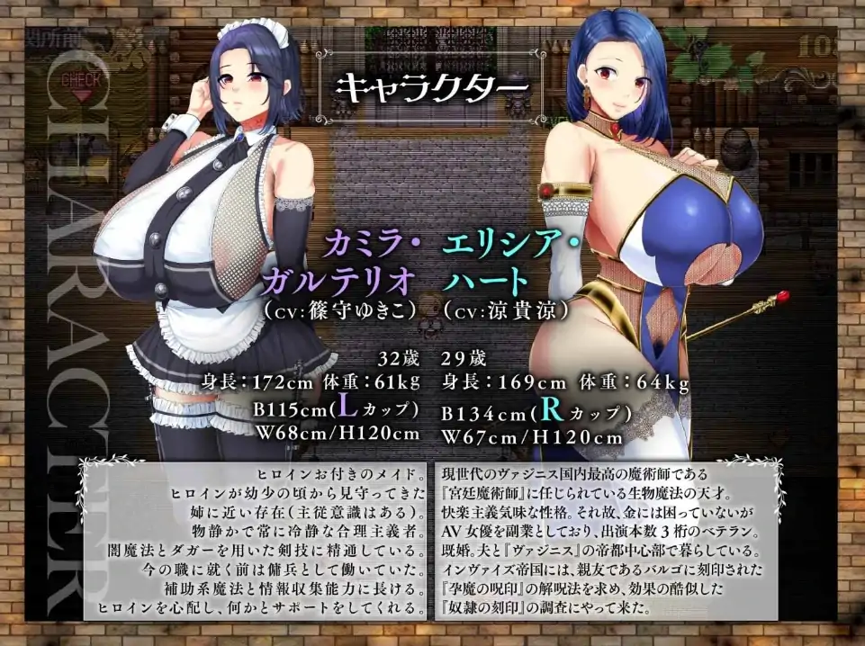 图片[1]-安卓+电脑【精品RPG/全CV】亡国的公主沦为侵略国家的共有奴隶-次元总站