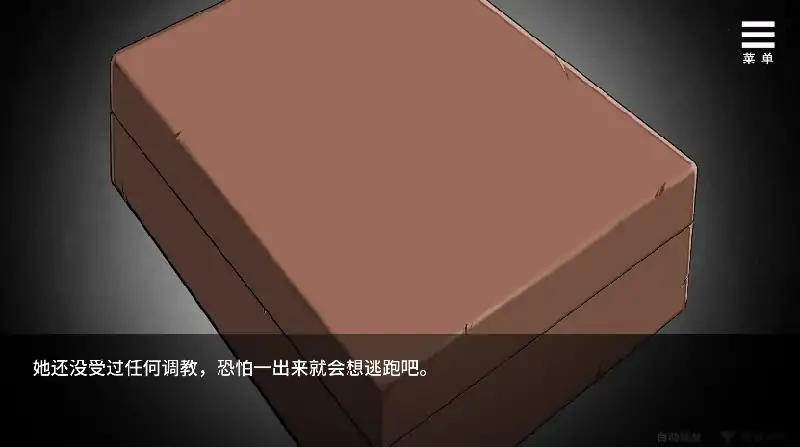 图片[7]-安卓+电脑【SLG/调教/拘束】我终于入手了一个盒中少女-次元总站