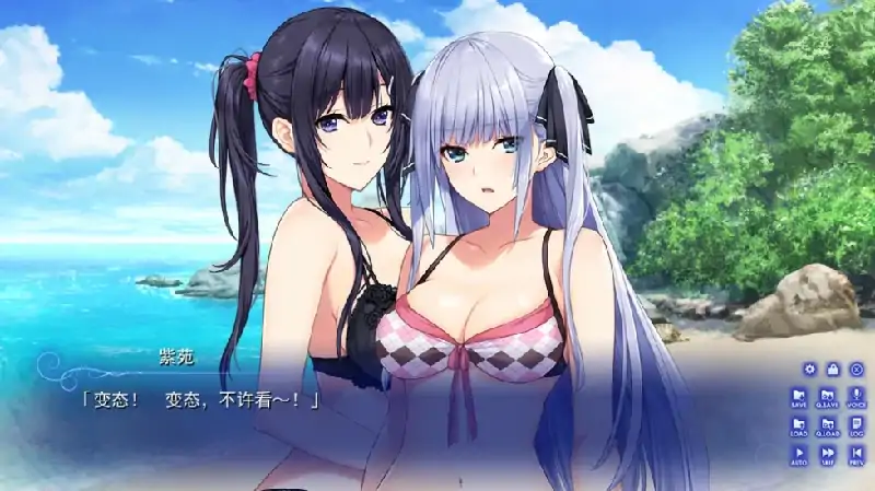 图片[8]-安卓+电脑【神作ADV/动态/魔改版]水莲与紫苑 全CG 骑 Ty模拟器玩-次元总站