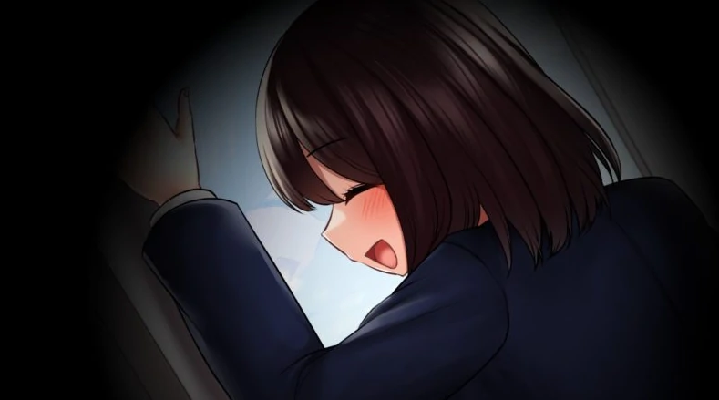 图片[1]-安卓+电脑（日系SLG/动态/CV）痴汉追想曲-目标学校电车-次元总站