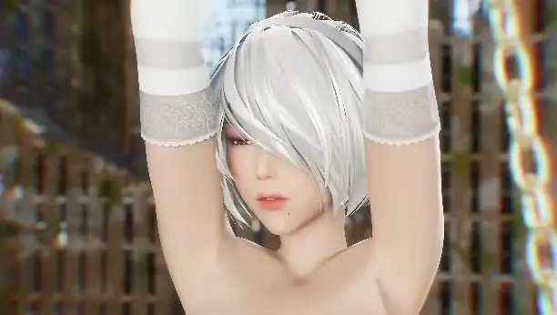 图片[1]-[视频]2B昔日荣光 步-次元总站