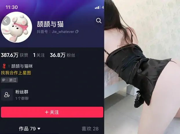 抖音 颉颉与猫  NO.005期 【3P8V】-次元总站