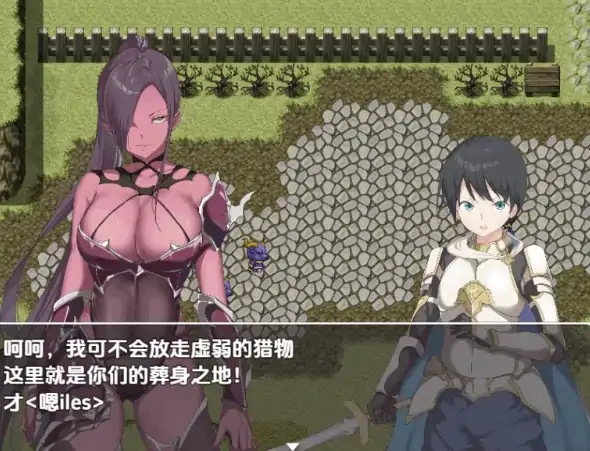 图片[8]-安卓+电脑【RPG/开大车/后宫】零容忍勇者～在拯救世界前与姐姐们达到高潮-次元总站