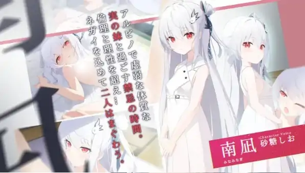 图片[3]-安卓+电脑【ADV/CV/兄妹/纯爱】 只愿 カタネガイ V1.03-次元总站