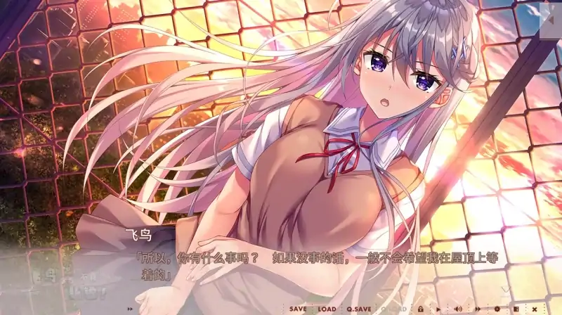 安卓+电脑 [ADV/全CV/纯爱]飞鸟会长不肯认输！Ty模拟器玩-次元总站