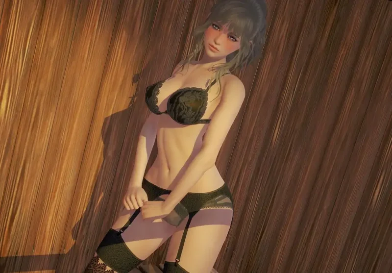 安卓+电脑【SLG+动态】一生一次 攻略+步-次元总站