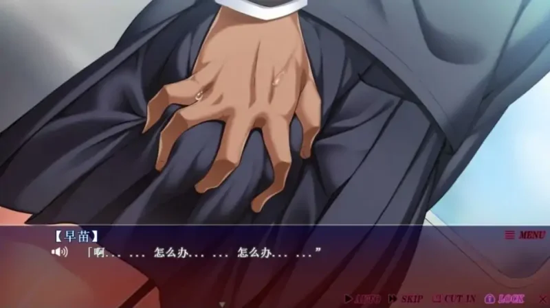 图片[3]-安卓+电脑【动态CV】JK狩快乐电车-无法逃离的循环线 Ty模拟器玩-次元总站