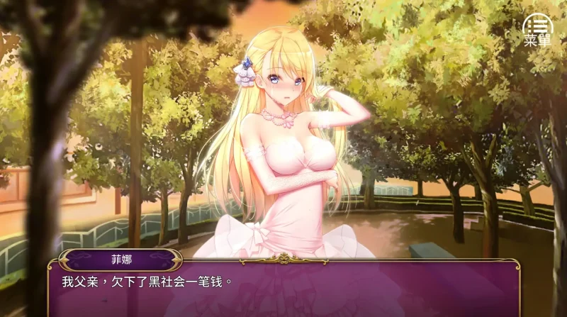 安卓+电脑【SLG 动态 步兵】负债千金-次元总站