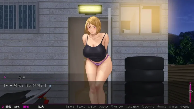 图片[1]-安卓+电脑【ADV+CV】喧闹的公寓和午后的人妻 Ty模拟器玩-次元总站