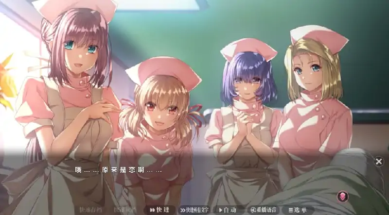 图片[9]-PC电脑 [大型ADV/动态/全CV]夜勤病栋 重制版+存档-次元总站