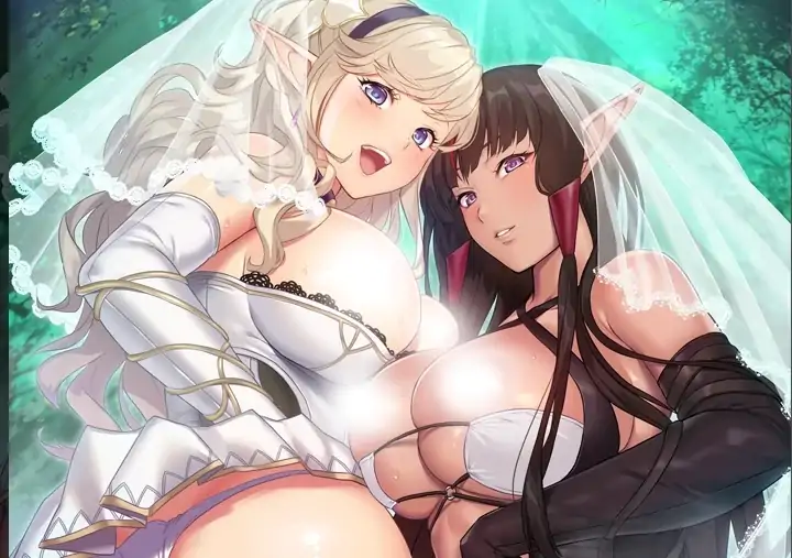 安卓+电脑【ADV/动态/全CV]嫁婚推奖 Ty模拟器玩-次元总站