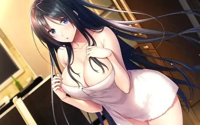 安卓+电脑 [ADV/全CV/纯爱]我与老师的私人课程 Ty模拟器玩-次元总站