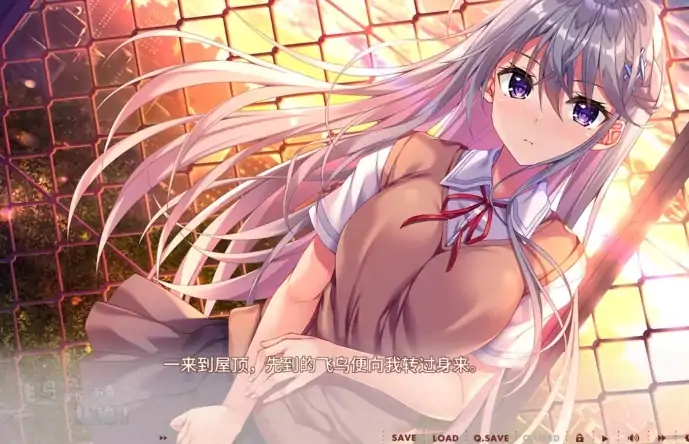 图片[6]-安卓+电脑 [ADV/全CV/纯爱]飞鸟会长不肯认输！Ty模拟器玩-次元总站