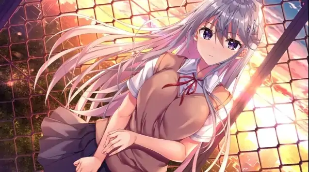 安卓+电脑 [ADV/全CV/纯爱]飞鸟会长不肯认输！-次元总站