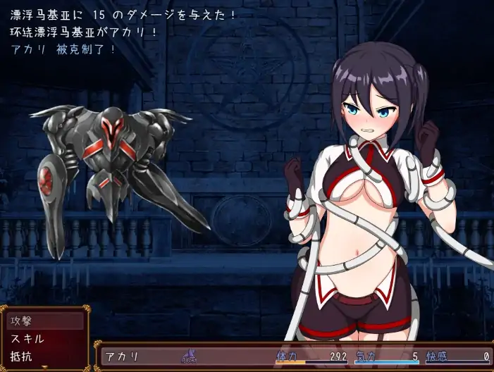 安卓+电脑【神作/动态/战斗H/CV/触手/异种】淫欲宫的深渊 作弊+骑-次元总站