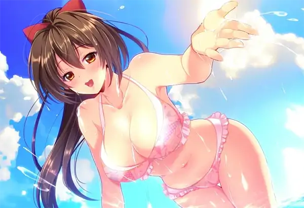 图片[10]-安卓+电脑【爆款RPG 全CV NTR】圣光闪姬波尼塞蕾丝 Joi模拟器-次元总站