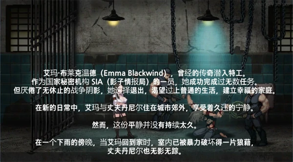 图片[4]-PC电脑【像素ACT/动态】SPY 官方中文版-次元总站
