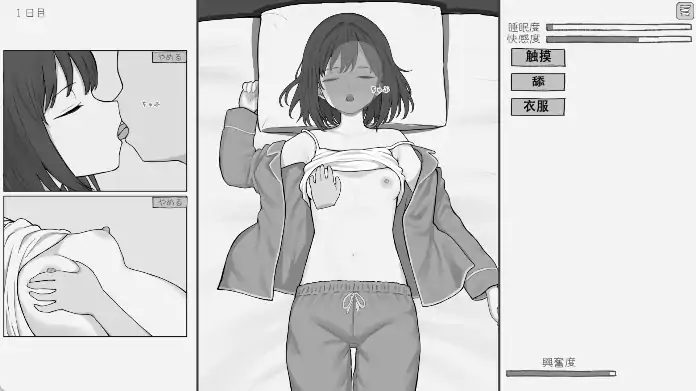 图片[1]-安卓+电脑【SLG/触摸/互动/动态】和酣睡姐姐一起玩耍2-次元总站