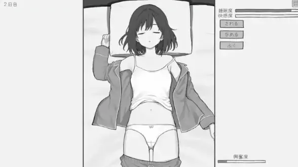 安卓+电脑【SLG/触摸/互动/动态】和酣睡姐姐一起玩耍2-次元总站