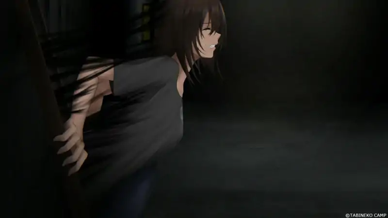 图片[9]-安卓+电脑 [SLG/露出/探索/微恐]归途累之夜 Joi模拟器玩-次元总站